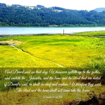 Picture 03 - 2 Samuel 5:8 KJV - And David said on that day, Whosoever getteth up - Bible Verse Picture