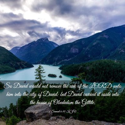 Picture 03 - 2 Samuel 6:10 KJV - So David would not remove the ark of the LORD - Bible Verse Picture