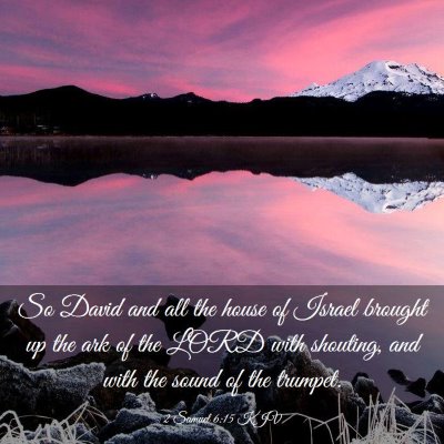 Picture 03 - 2 Samuel 6:15 KJV - So David and all the house of Israel brought up - Bible Verse Picture