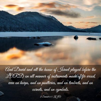 Picture 03 - 2 Samuel 6:5 KJV - And David and all the house of Israel played - Bible Verse Picture