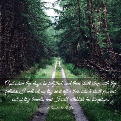 Picture 03 - 2 Samuel 7:12 KJV - And when thy days be fulfilled, and thou shalt - Bible Verse Picture
