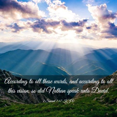Picture 03 - 2 Samuel 7:17 KJV - According to all these words, and according to - Bible Verse Picture
