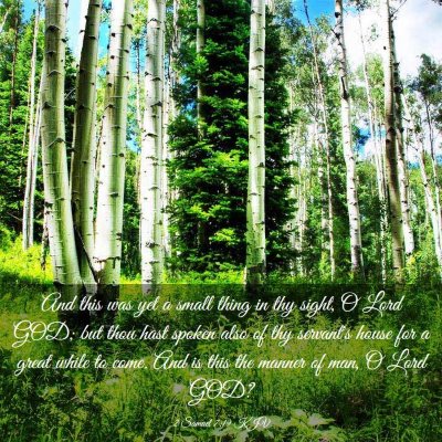Picture 03 - 2 Samuel 7:19 KJV - And this was yet a small thing in thy sight, O - Bible Verse Picture
