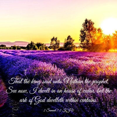 Picture 03 - 2 Samuel 7:2 KJV - That the king said unto Nathan the prophet, See - Bible Verse Picture