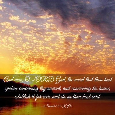 Picture 03 - 2 Samuel 7:25 KJV - And now, O LORD God, the word that thou hast - Bible Verse Picture