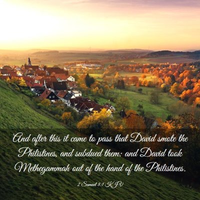Picture 03 - 2 Samuel 8:1 KJV - And after this it came to pass that David smote - Bible Verse Picture