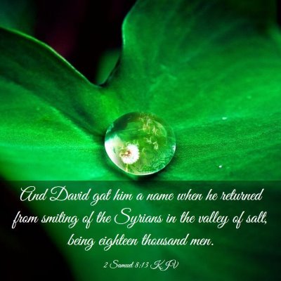 Picture 03 - 2 Samuel 8:13 KJV - And David gat him a name when he returned from - Bible Verse Picture