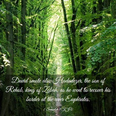 Picture 03 - 2 Samuel 8:3 KJV - David smote also Hadadezer, the son of Rehob, - Bible Verse Picture
