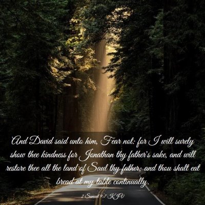 Picture 03 - 2 Samuel 9:7 KJV - And David said unto him, Fear not: for I will - Bible Verse Picture