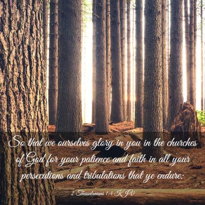 Picture 03 - 2 Thessalonians 1:4 KJV - So that we ourselves glory in you in the churches - Bible Verse Picture