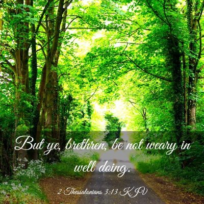 Picture 03 - 2 Thessalonians 3:13 KJV - But ye, brethren, be not weary in well - Bible Verse Picture