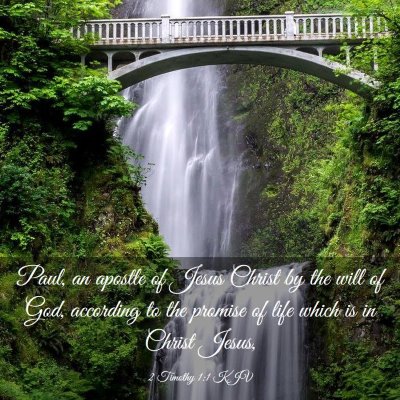 Picture 03 - 2 Timothy 1:1 KJV - Paul, an apostle of Jesus Christ by the will of - Bible Verse Picture