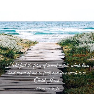 Picture 03 - 2 Timothy 1:13 KJV - Hold fast the form of sound words, which thou - Bible Verse Picture