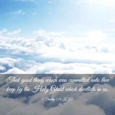 Picture 03 - 2 Timothy 1:14 KJV - That good thing which was committed unto thee - Bible Verse Picture