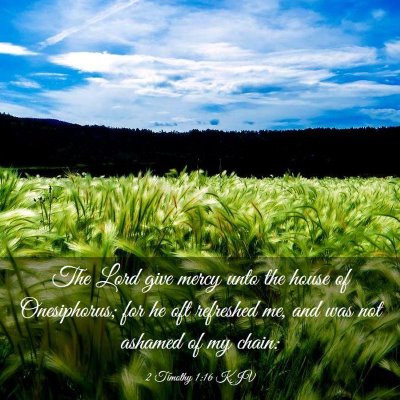 Picture 03 - 2 Timothy 1:16 KJV - The Lord give mercy unto the house of - Bible Verse Picture