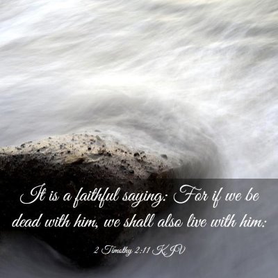 Picture 03 - 2 Timothy 2:11 KJV - It is a faithful saying: For if we be dead with - Bible Verse Picture