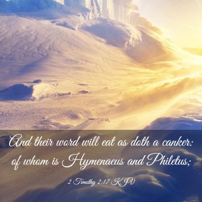 Picture 03 - 2 Timothy 2:17 KJV - And their word will eat as doth a canker: of whom - Bible Verse Picture