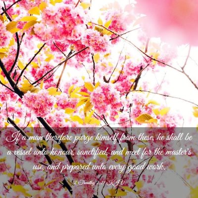 Picture 03 - 2 Timothy 2:21 KJV - If a man therefore purge himself from these, he - Bible Verse Picture