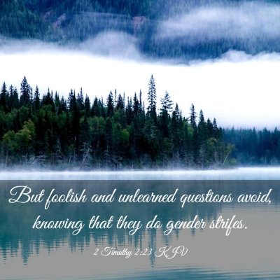 Picture 03 - 2 Timothy 2:23 KJV - But foolish and unlearned questions avoid, - Bible Verse Picture