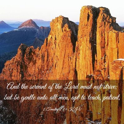 Picture 03 - 2 Timothy 2:24 KJV - And the servant of the Lord must not strive; but - Bible Verse Picture