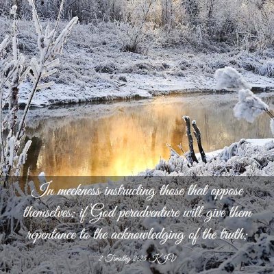 Picture 03 - 2 Timothy 2:25 KJV - In meekness instructing those that oppose - Bible Verse Picture