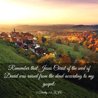 Picture 03 - 2 Timothy 2:8 KJV - Remember that Jesus Christ of the seed of David - Bible Verse Picture