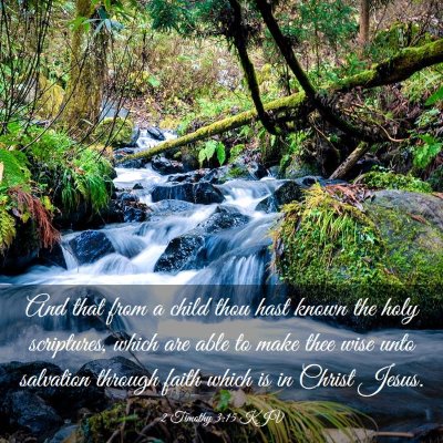 Picture 03 - 2 Timothy 3:15 KJV - And that from a child thou hast known the holy - Bible Verse Picture