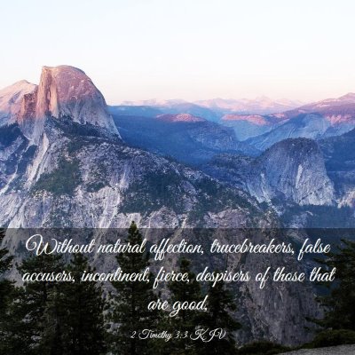 Picture 03 - 2 Timothy 3:3 KJV - Without natural affection, trucebreakers, false - Bible Verse Picture
