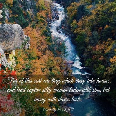 Picture 03 - 2 Timothy 3:6 KJV - For of this sort are they which creep into - Bible Verse Picture