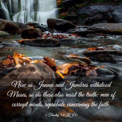 Picture 03 - 2 Timothy 3:8 KJV - Now as Jannes and Jambres withstood Moses, so do - Bible Verse Picture