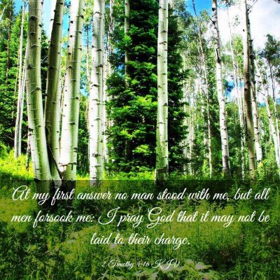 Picture 03 - 2 Timothy 4:16 KJV - At my first answer no man stood with me, but all - Bible Verse Picture