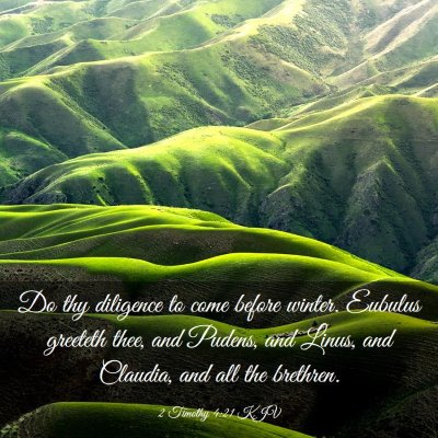Picture 03 - 2 Timothy 4:21 KJV - Do thy diligence to come before winter. Eubulus - Bible Verse Picture