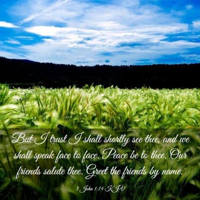 Picture 03 - 3 John 1:14 KJV - But I trust I shall shortly see thee, and we - Bible Verse Picture