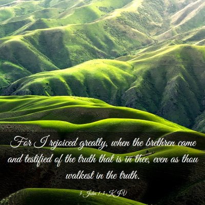 Picture 03 - 3 John 1:3 KJV - For I rejoiced greatly, when the brethren came - Bible Verse Picture