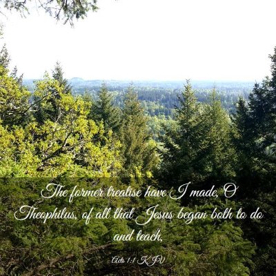 Picture 03 - Acts 1:1 KJV - The former treatise have I made, O Theophilus, of - Bible Verse Picture