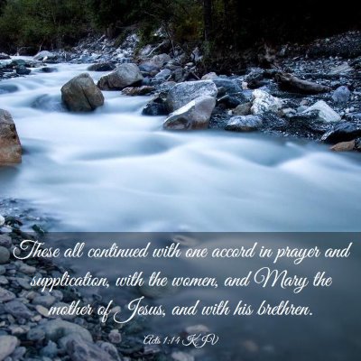 Picture 03 - Acts 1:14 KJV - These all continued with one accord in prayer and - Bible Verse Picture