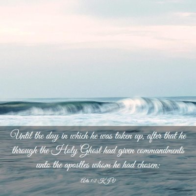 Picture 03 - Acts 1:2 KJV - Until the day in which he was taken up, after - Bible Verse Picture
