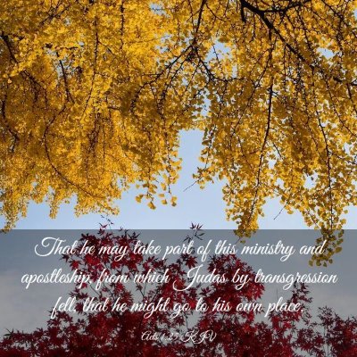 Picture 03 - Acts 1:25 KJV - That he may take part of this ministry and - Bible Verse Picture