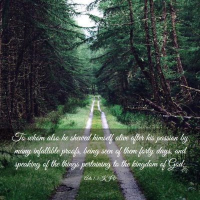 Picture 03 - Acts 1:3 KJV - To whom also he shewed himself alive after his - Bible Verse Picture