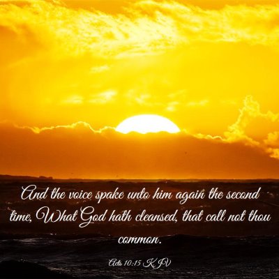 Picture 03 - Acts 10:15 KJV - And the voice spake unto him again the second - Bible Verse Picture