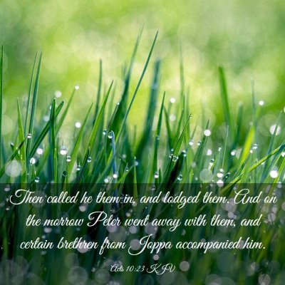 Picture 03 - Acts 10:23 KJV - Then called he them in, and lodged them. And on - Bible Verse Picture
