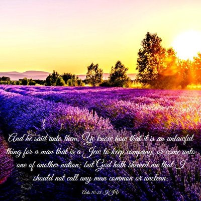 Picture 03 - Acts 10:28 KJV - And he said unto them, Ye know how that it is an - Bible Verse Picture