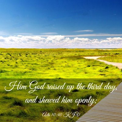 Picture 03 - Acts 10:40 KJV - Him God raised up the third day, and shewed him - Bible Verse Picture