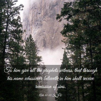 Picture 03 - Acts 10:43 KJV - To him give all the prophets witness, that - Bible Verse Picture