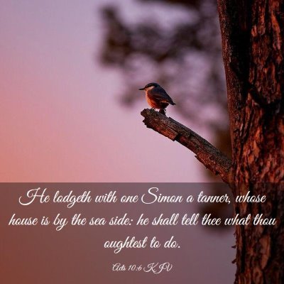 Picture 03 - Acts 10:6 KJV - He lodgeth with one Simon a tanner, whose house - Bible Verse Picture