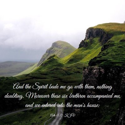 Picture 03 - Acts 11:12 KJV - And the Spirit bade me go with them, nothing - Bible Verse Picture