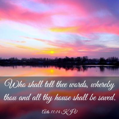 Picture 03 - Acts 11:14 KJV - Who shall tell thee words, whereby thou and all - Bible Verse Picture