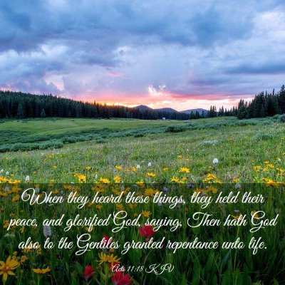 Picture 03 - Acts 11:18 KJV - When they heard these things, they held their - Bible Verse Picture