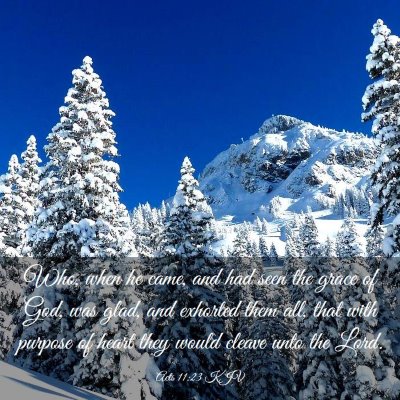 Picture 03 - Acts 11:23 KJV - Who, when he came, and had seen the grace of God, - Bible Verse Picture