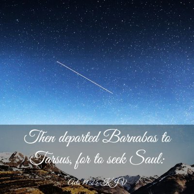 Picture 03 - Acts 11:25 KJV - Then departed Barnabas to Tarsus, for to seek - Bible Verse Picture